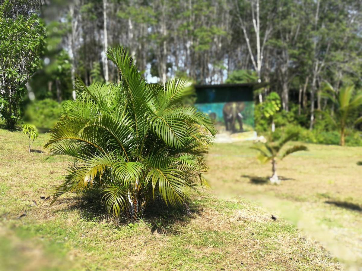 Апартаменты Palm Garden House Ко-Ланта Экстерьер фото